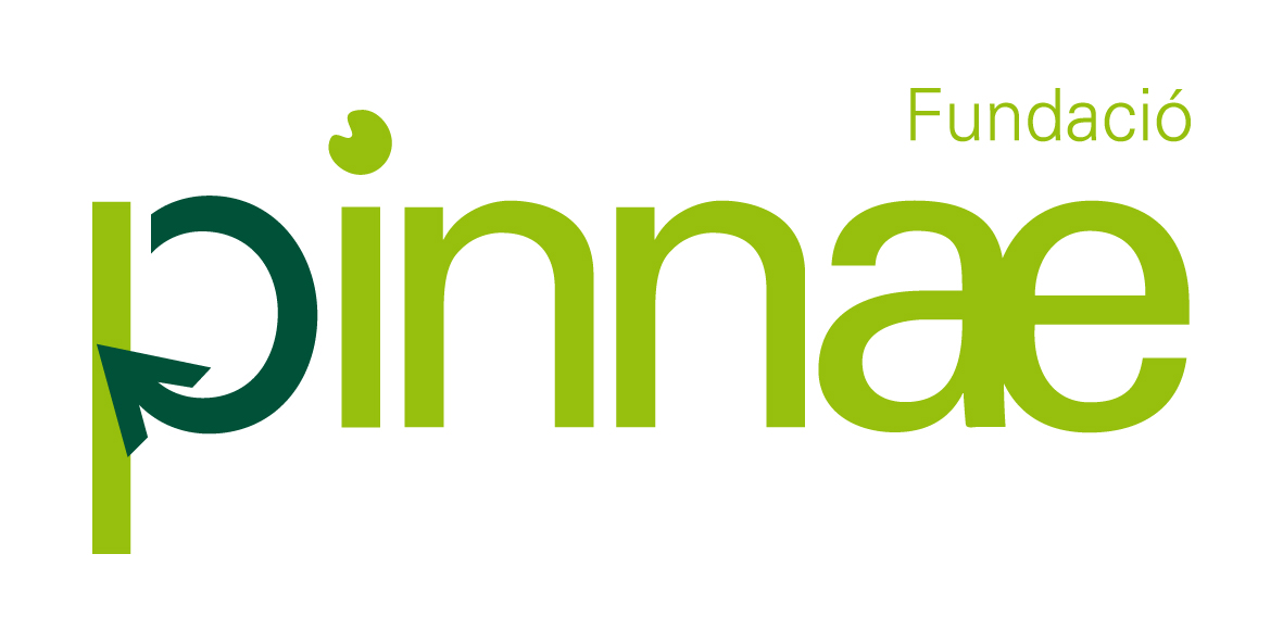 pinnae fundacio positiu