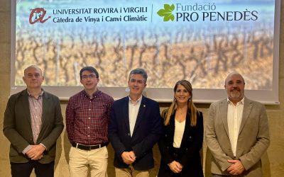 La Càtedra de la Vinya i el Canvi Climàtic es presenta al Congrés Internacional ACE d’Enologia i patrocina el Premi Sostenibilitat al Most Festival