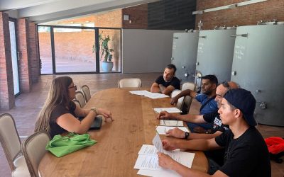 La Fundació Pro-Penedès finalitza la primera fase de «Camins de Retorn» amb quatre persones en tercer grau de Brians 2 incorporades a la verema de Raventós i Blanc